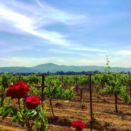 2016-05-28 11.09.29-2